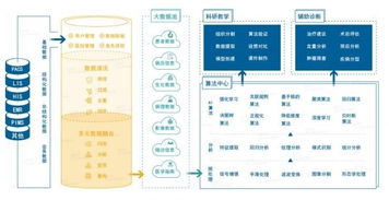 雅森科技陳暉 十年求索，探路醫(yī)療AI的上海實(shí)踐與需求邊界
